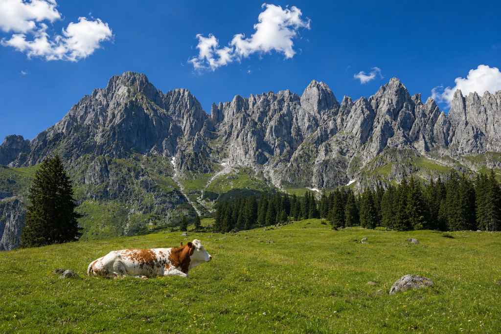 Die Kraft der Berge